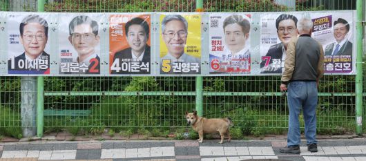 15일 반려견과 산책을 나온 한 유권자가 서울 양천구 목동에서 제21대 대통령선거 후보자 벽보를 살펴보고 있다. 뉴스1
