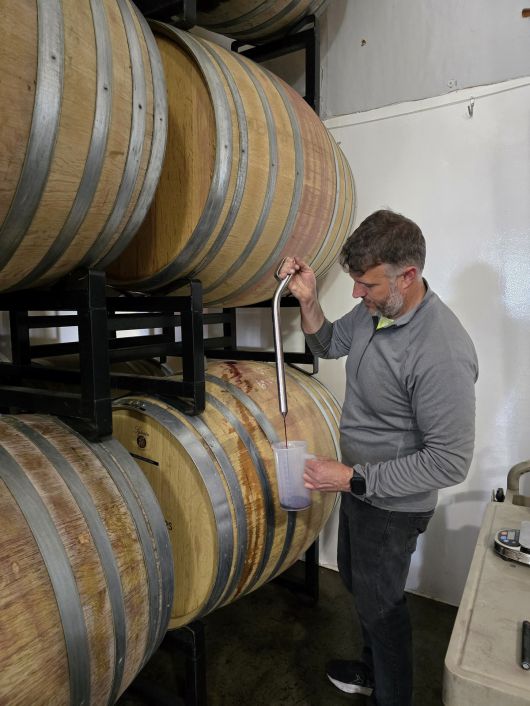 그라머시 셀라스 배럴 테이스팅.