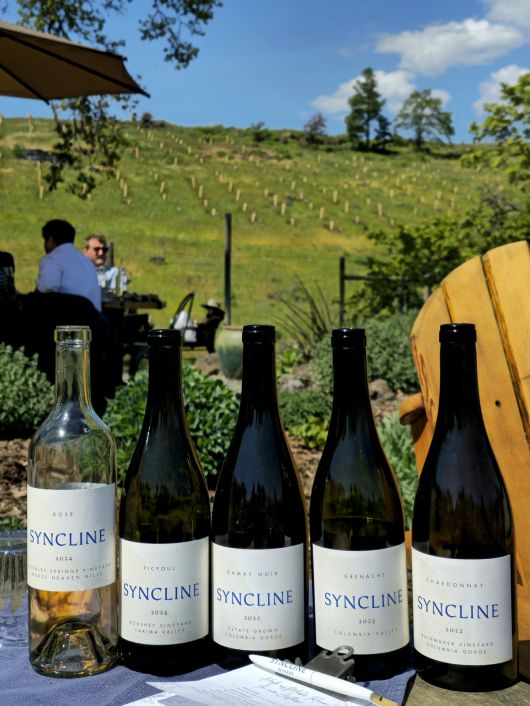 씬클라인 와인.