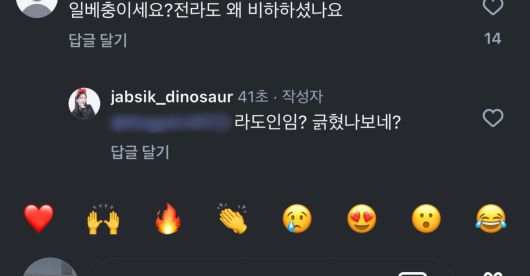 잡식공룡이 누리꾼에게 댓글을 달았다. 인스타그램 캡처.