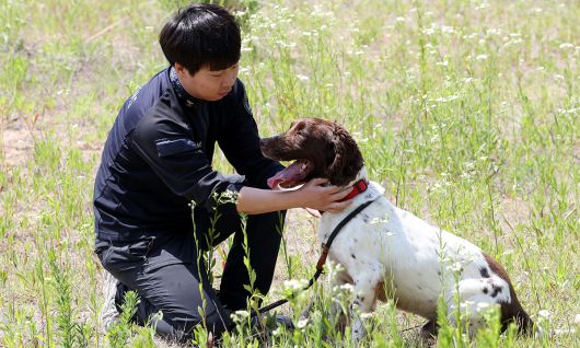 초지훈련장에서 공놀이를 마친 최우현 사양관리사가 듀크(2018년생, 스프링어스패니얼)와 교감을 하고 있다.