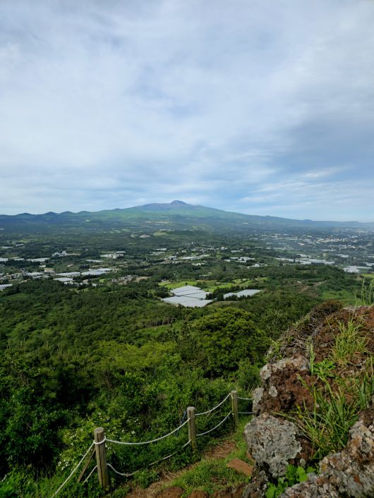 군산오름 정상에서 본 한라산.