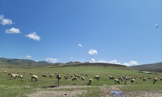 간난짱족자치주 루취현 내에 위치한 가슈윈구의 풍경.