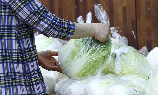 지난 15일 서울 시내의 한 대형마트에서 시민이 배추를 고르고 있다. 뉴시스