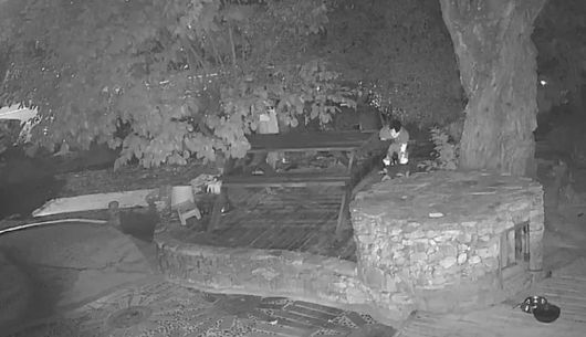 지난 8일 새벽 경남 거제 한 식당 앞에서 해병대 현역 군인 등 남성 3명이 비비탄총을 난사해 개를 숨지게 하는 사건이 발생했다. 연합뉴스