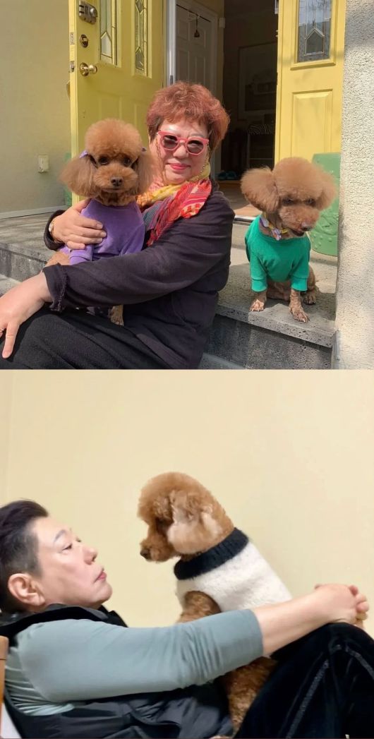 양희은과 그의 반려견. 양희은 인스타그램 캡처