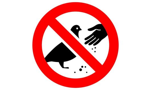 사진=게티이미지뱅크