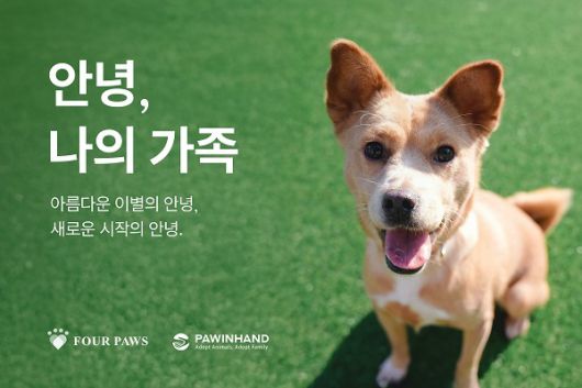 사진=펫닥 제공