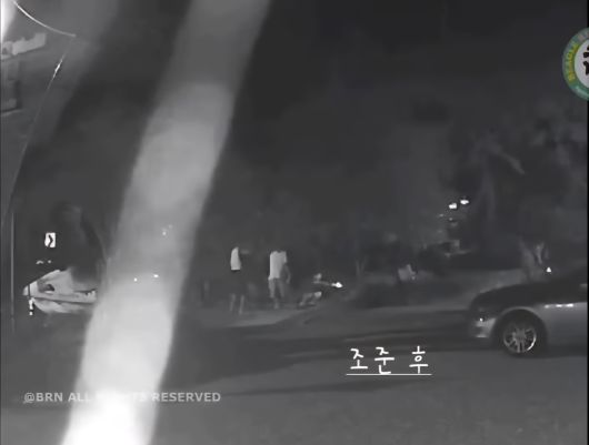 경남 거제시에서 남성들이 남의 집 반려견에 비비탄 총을 쏘는 모습. 비글구조네트워크 SNS 캡처