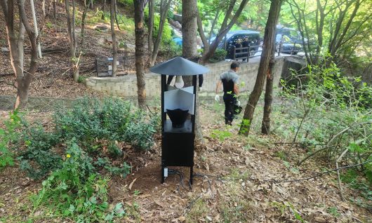 러브버그 광원 포집기. 서울시 제공