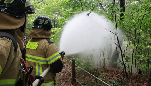 3일 서울 노원구 삼육대학교 인근 제명호에서 서울소방 관계자들이 러브버그 방제작업을 하고 있다. 뉴시스