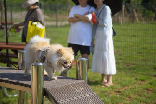 안성맞춤랜드 같이파크