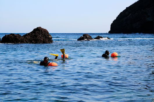 한국소비자원은 제주 여행객을 대상으로 소비자 피해예방주의보를 발령하고 렌터카, 숙박 예약 시 취소 위약금 등을 꼼꼼히 확인할 필요가 있다고 당부했다. 클립아트코리아 제공