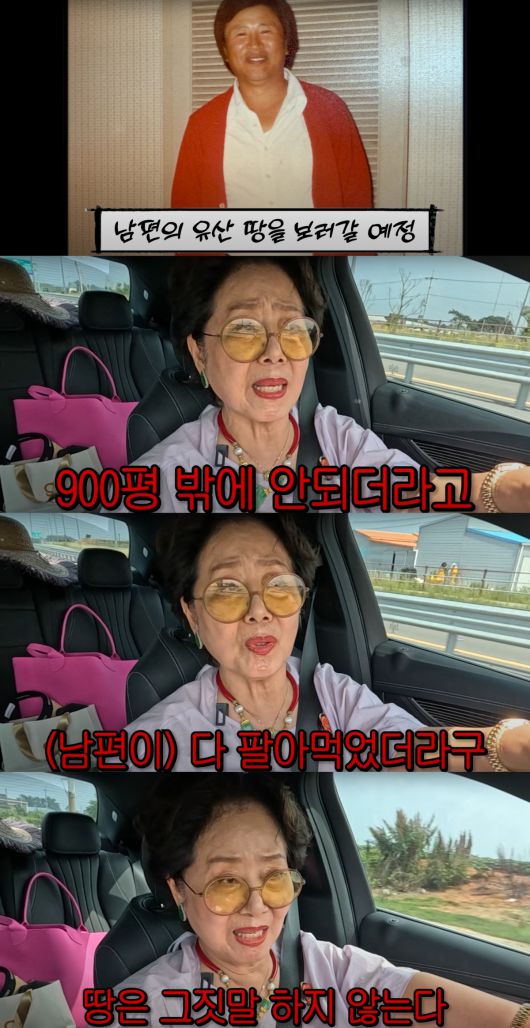 선우용여가 자신의 땅을 소개했다. 유튜브 채널 '순풍 선우용여' 캡처.