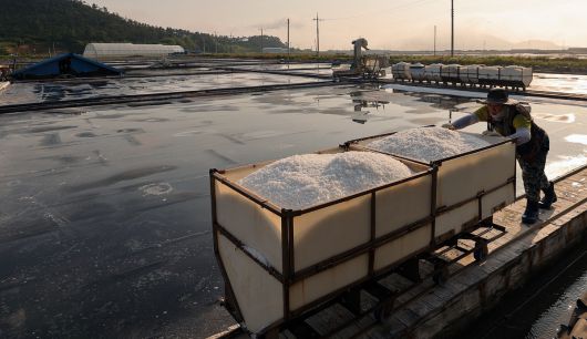 염부 전동길 씨가 수확한 소금을 소금창고로 옮기고 있다.