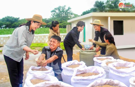 북한 노동당 기관지 노동신문은 6일 농업부문 일꾼(간부)들은 투철한 사상 관점과 과감한 실천 행동으로써만 올곡식 농사의 성과적 결속을 담보할 수 있다"라고 강조했다. 사진은 신계군 읍농장.