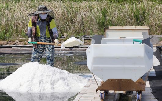 염부 전동길 씨가 소금열차에 천일염을 싣고 있다.
