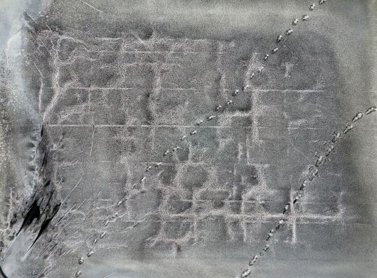 염전 바닥 위에 천일염 결정들이 맺혀 있다. 눈송이처럼 생긴 결정은 바닷물이 태양과 바람을 견디며 일곱 날 동안 빚어낸 작품이다.