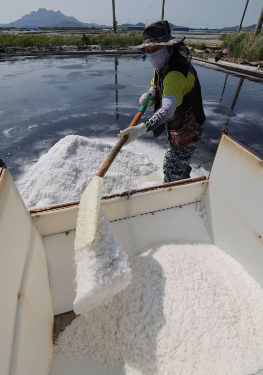 염부 전동길씨가 소금열차에 천일염을 싣고 있다.
