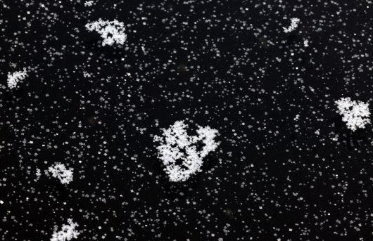 염전 바닥 위에 천일염 결정들이 맺혀 있다. 눈송이처럼 생긴 결정은 바닷물이 태양과 바람을 견디며 일곱 날 동안 빚어낸 작품이다.