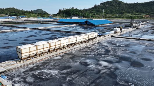 염부 전동길씨가 수확한 소금을 소금창고로 옮기고 있다.