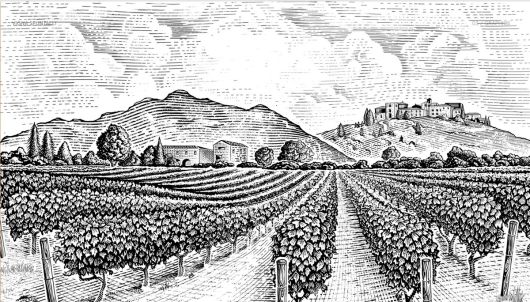 비냐 스푼탈리 레이블.