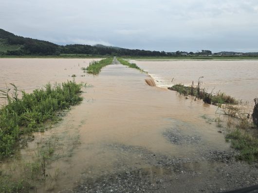 17일 충남 서산시 부석면 봉락리 B지구 간척지 논이 호우로 침수돼 물이 가득 차고 농로가 잠겼다. 뉴시스