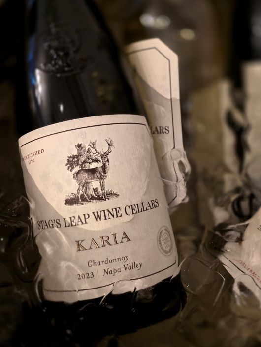 스택스 립 카리아. 최현태 기자