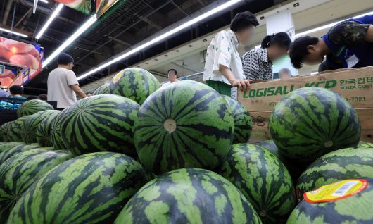 최근 이어진 폭염에 폭우까지 겹치면서 주요 농산물 가격이 한 달 동안 최대 2배 이상 상승한 27일 서울 서초구의 한 대형마트를 찾은 고객들이 수박을 고르고 있다. 한국농수산식품유통공사 농산물유통정보에 따르면 대표적인 여름 과일인 수박(1통) 가격은 2만 8809원으로 이달 초와 비교해 24% 올랐다. 뉴스1