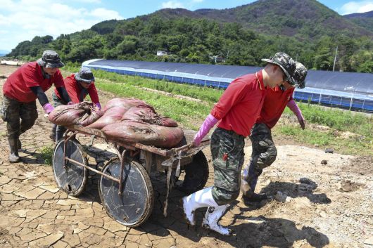 경남 산청지역 대민지원에 투입된 해병대 신속기동부대 장병들이 침수된 비닐하우스 내부 폐기물을 옮기고 있다. 해병대 제공