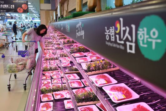 1일 서울 서초구 하나로마트 양재점을 찾은 시민들이 한우를 고르고 있다. 대한민국은 이번 미국과의 관세 협상에서 쌀·소고기 추가 개방 없이 상호관세를 25%에서 15%로 낮췄다. 뉴스1