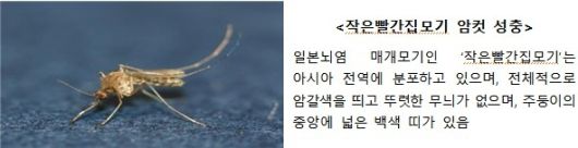 질병관리청 제공