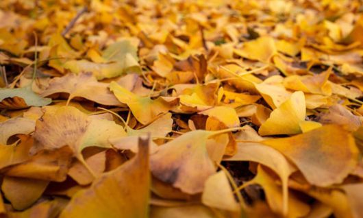 사진=게티이미지뱅크