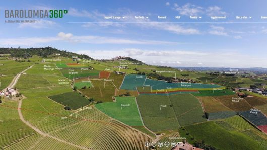 브루나테 포도밭. 비에티