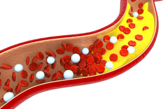 식단과 생활습관을 점검해 젊은 혈관을 위한 실천을 시작해보자. 게티이미지