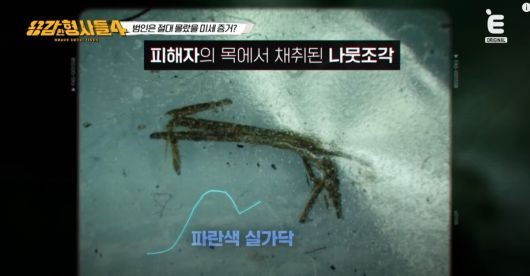 아들처럼 챙겨주던 남성에게 살해당한 사건이 공개됐다. 유튜브 'E채널' 영상 캡처