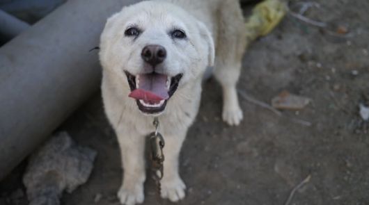 이효리 인스타그램 캡처