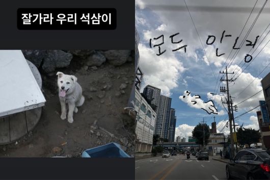 이효리 인스타그램 캡처