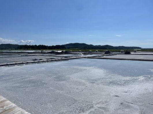 지난 21일 찾은 전남 신안군 증도 태평염전 전경. 염전이 끝없이 펼쳐져 있다.