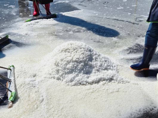 태평염전에서 생산된 소금.