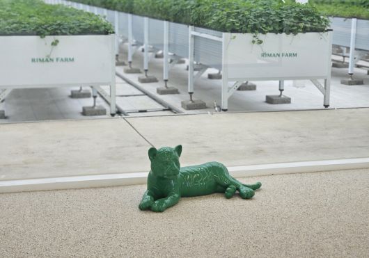 제주 서귀포시 구좌읍 ‘리만팜’ 내부 모습.