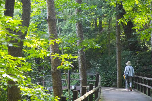 의왕 청계산맑은숲공원. 경기관광공사 제공