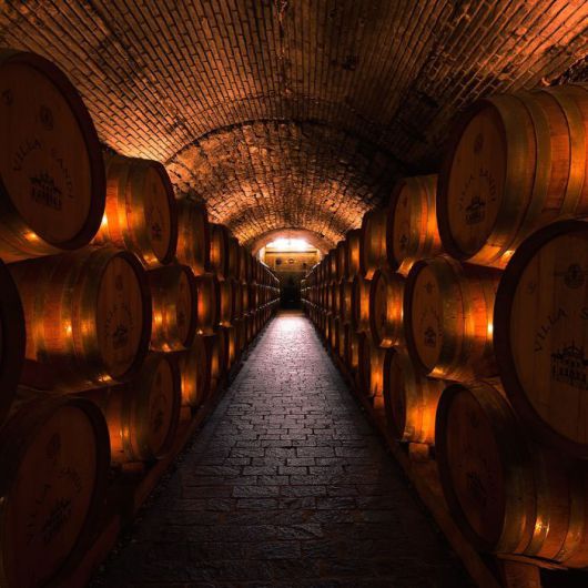 빌라 산디 지하셀러. 인스타그램