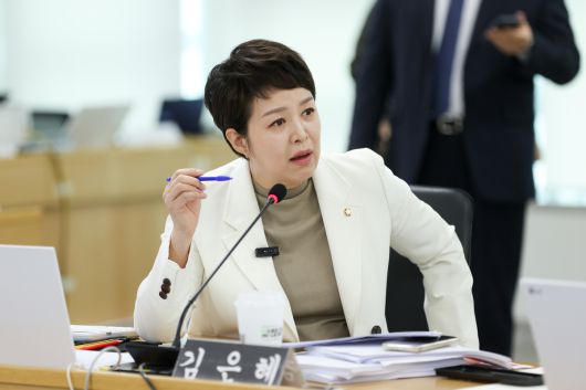 20일 국회 국토교통위원회 경기도 국정감사에서 질의하는 김은혜 의원. 경기도 제공