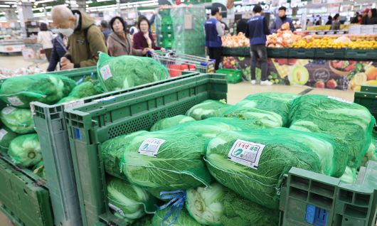돌아온 김장철 4일 서울의 한 대형마트에 배추와 무가 진열돼 있다. 이날 정부는 김장철을 앞두고 소비자 부담 완화를 위해 배추와 무 4만7500t을 공급하고 500억원 규모의 농수산물 할인지원 예산을 투입하는 ‘김장재료 수급안정 대책’을 발표했다. 이제원 선임기자