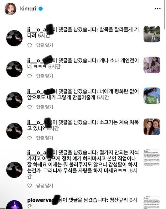 김규리의 인스타그램에 달린 악플. 김규리 인스타그램 캡처