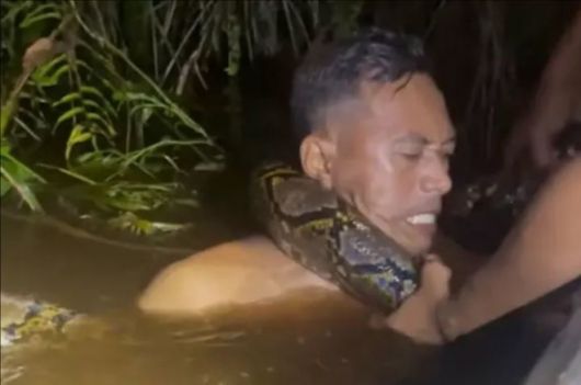인도네시아에서 6m 길이의 비단뱀이 한 남성의 목을 휘감아 물속으로 끌고 들어가는 장면이 포착됐다. 뉴욕포스트 캡처·뉴시스