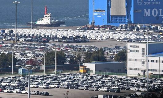 1일 경기 평택항 자동차전용부두에 수출용 차량이 세워져 있는 모습. 뉴스1