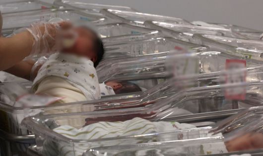 신생아실에서 분유를 먹고 있는 아기들. 뉴시스