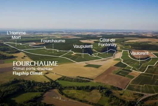 우안 대표 끌리마.  부르고뉴와인협회